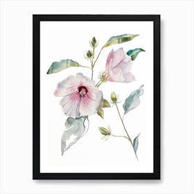 Hibiscus Art Print