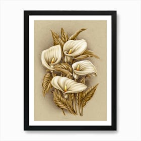 Calla Lily 3 Art Print