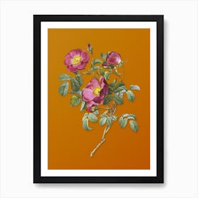 Vintage Rose of Love Bloom Botanical on Sunset Orange n.0526 Art Print