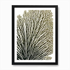 Acropora Tenella Iii Linocut Art Print