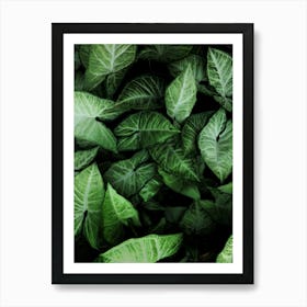 Green Leaves 5 Art Print