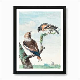 Vintage Bird Art Print_2835726 Art Print