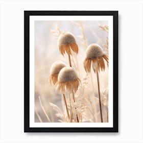 Boho Dried Flowers Coneflower 2 Art Print