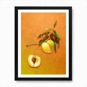 Vintage Yellow Apricot Botanical Art on Tangelo n.0747 Art Print