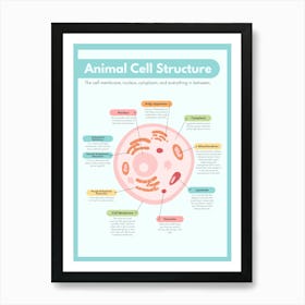Animal Cell Structure Art Print
