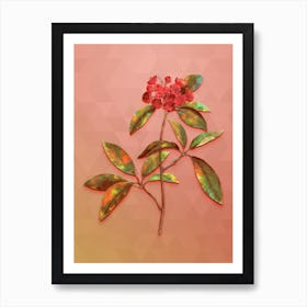 Vintage Mountain Laurel Branch Botanical Art on Peach Pink n.0604 Art Print
