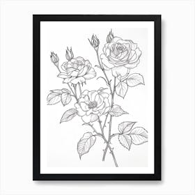 Roses Sketch 22 Art Print