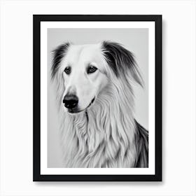 Borzoi B&W Pencil Dog Art Print