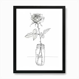 English Rose In A Jar Line Drawing 4 Art Print