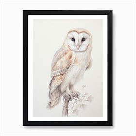 Vintage Bird Drawing Barn Owl 2 Art Print
