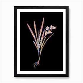 Stained Glass Gladiolus Xanthospilus Mosaic Botanical Illustration on Black Art Print
