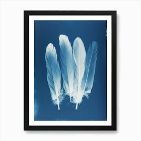 Feathers II Art Print