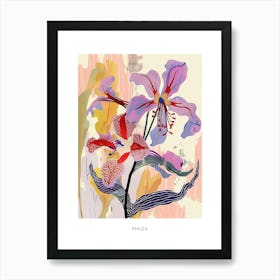 Colourful Flower Illustration Poster Phlox 2 Art Print