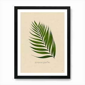 Areca Palm Leaf Art Print