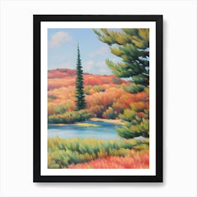 Radiata Pine Tree Watercolour 2 Art Print