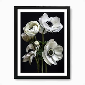 Poster White Beauty 3 Art Print