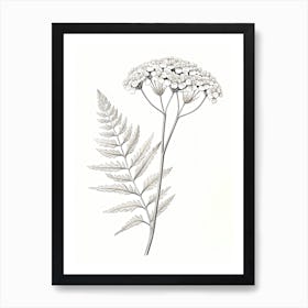 Yarrow Savory Vintage Botanical Herbs 0 Art Print