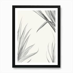 Palm Leaves Art Print