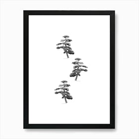 Japanese Pine Tree Collage Art Print