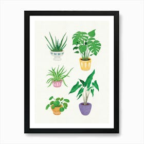 Indoor Plant Art Print