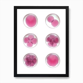 Human Egg Cells Development Purple Art Print