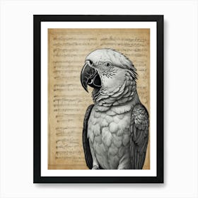 Parrot On Music Sheet Art Print