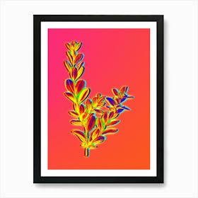 Neon Buxus Colchica Bush Botanical in Hot Pink and Electric Blue n.0067 Art Print