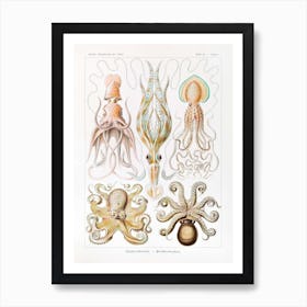 Vintage Octopus Art Print