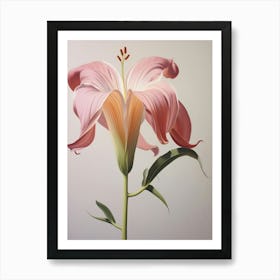 Floral Illustration Gloriosa Lily 1 Art Print