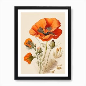 California Poppy Spices And Herbs Retro Drawing 3 Art Print