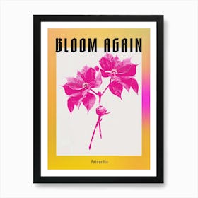 Hot Pink Poinsettia 1 Poster Art Print