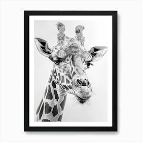 Zoo Austin Texas Black And White Drawing 1 Art Print