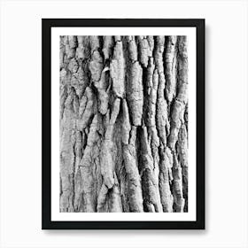 Black And White Tree Bark Art Print