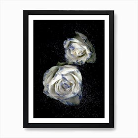 Flower Studies 13 Art Print