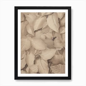 Neutral Autumn Leaf Art Print