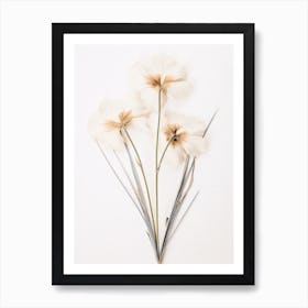 Pressed Flower Botanical Art Flax Flower 4 Art Print