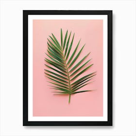 Palm Leaf On Pink Background 7 Art Print