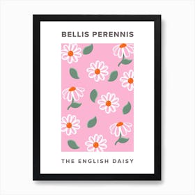The English Daisy Art Print