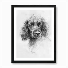 Irish Water Spaniel Dog Charcoal Line 3 Art Print