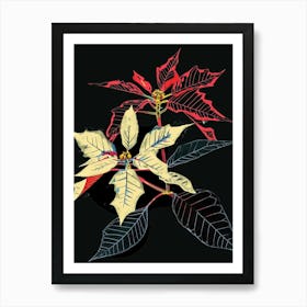 Neon Flowers On Black Poinsettia 1 Art Print