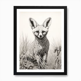 Bat Eared Fox In A Field Pencil Drawing 1 Art Print