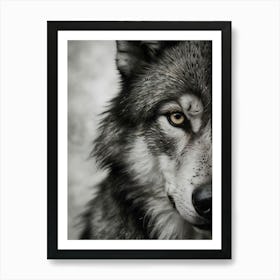 A close-up, highly detailed black and white portrait of a wolf, showcasing its piercing eyes and textured fur. Art Print