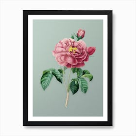 Vintage Gallic Rose Botanical Art on Mint Green n.0702 Art Print