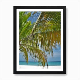 Beach Scene With Palm Trees Art Print