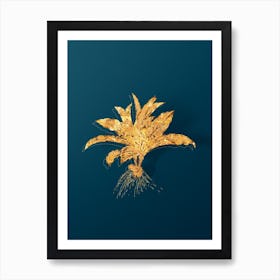 Vintage Kaempferia Angustifolia Botanical in Gold on Teal Blue Art Print