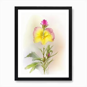 Evening Primrose Wildflower Watercolour 2 Art Print