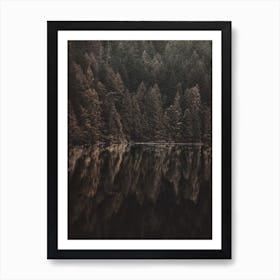 Reflection In Lake Art Print