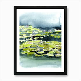 Water Lily walk Art Print