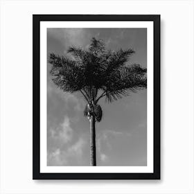 Monochrome Palm Tree Art Print