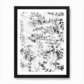 Black And White Leaves 3 Art Print